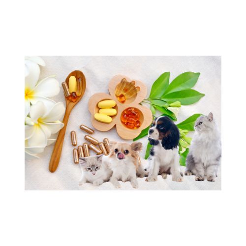Pet Supplements