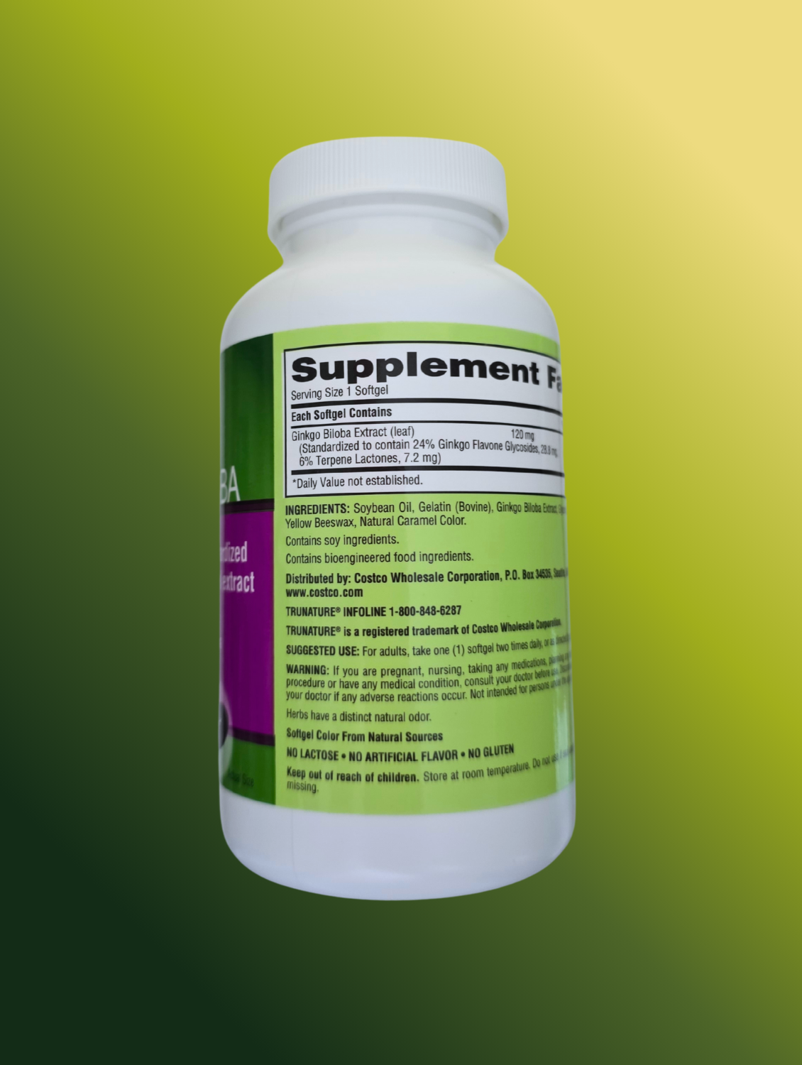 Ginkgo Biloba 340 Softgels