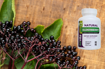 Elderberry extra strength formula 60 Capsule