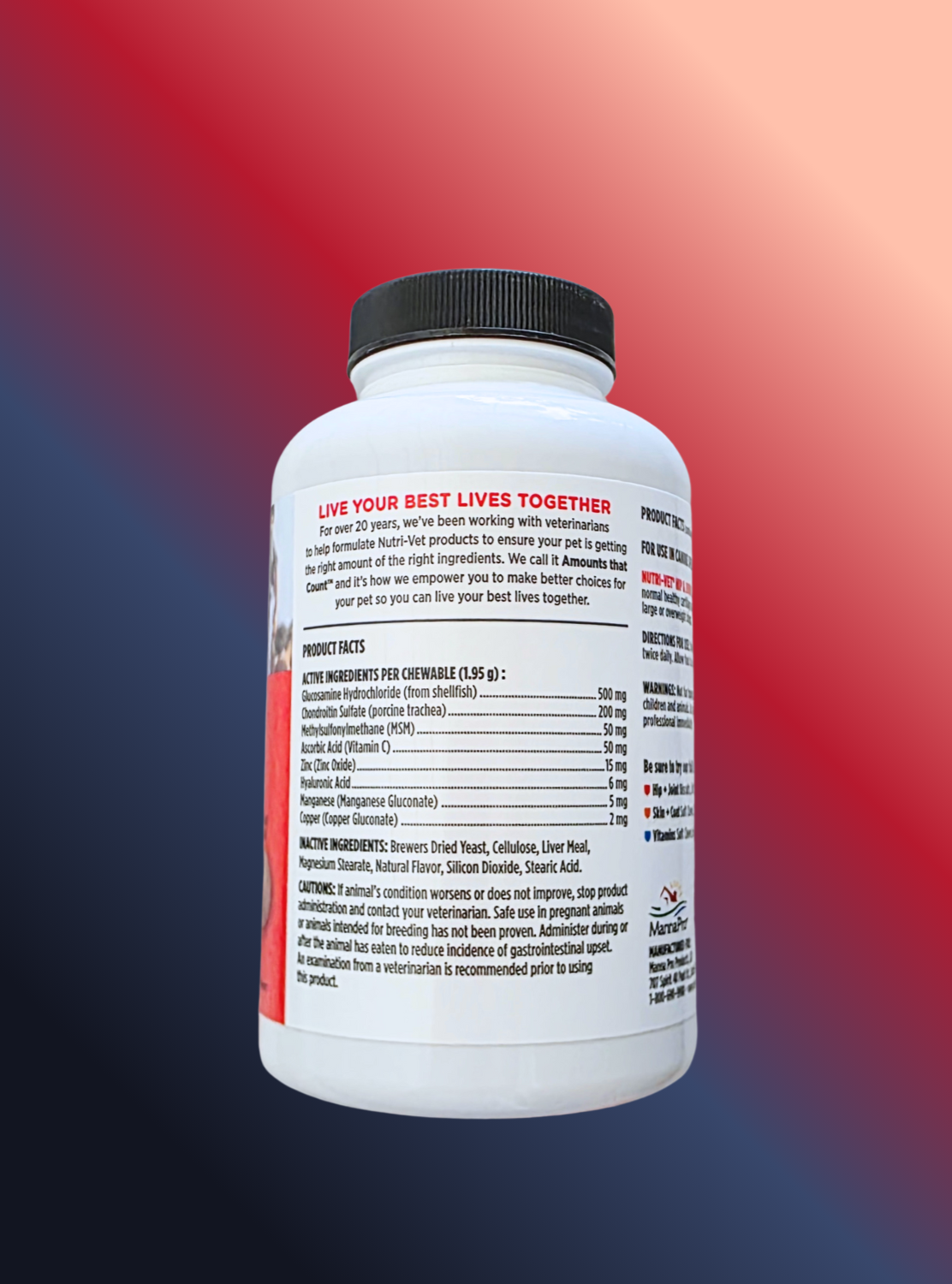 Hip And Joint Extra Strength For Dogs  120 Chewables